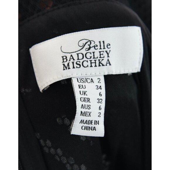 Belle Badgley Mischka Pleated Fit and Flare Black Crochet Mesh Stripe Dress Sz 2 - Picture 8 of 9